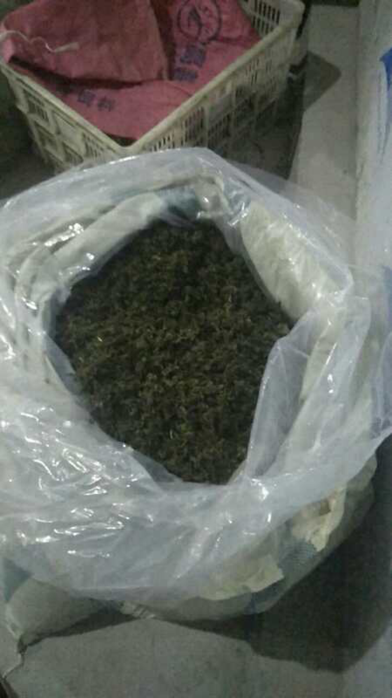 绞股蓝