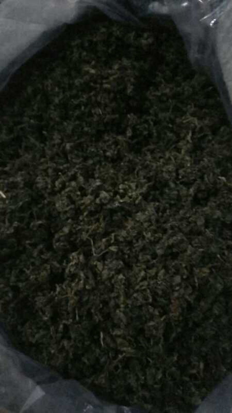 绞股蓝