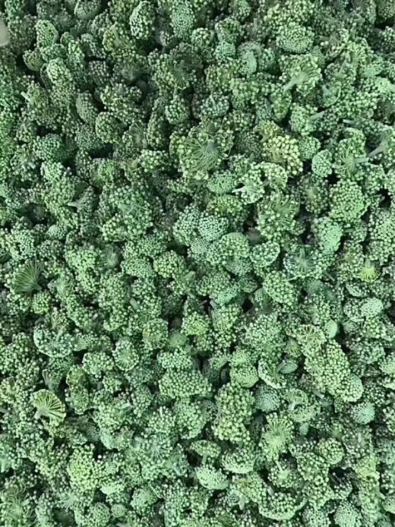 文山三七花
