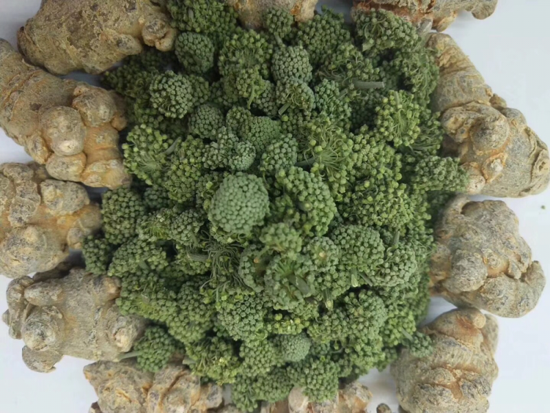文山三七花
