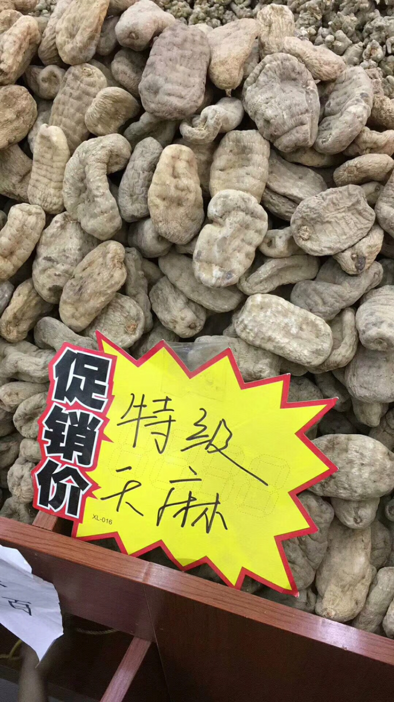 昭通小草坝天麻10头