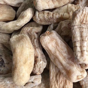 昭通小草坝天麻10头