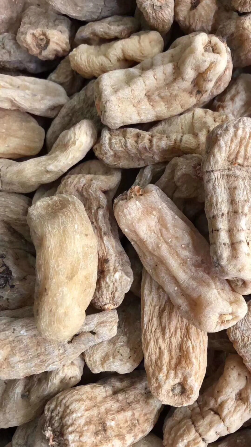 昭通小草坝天麻10头