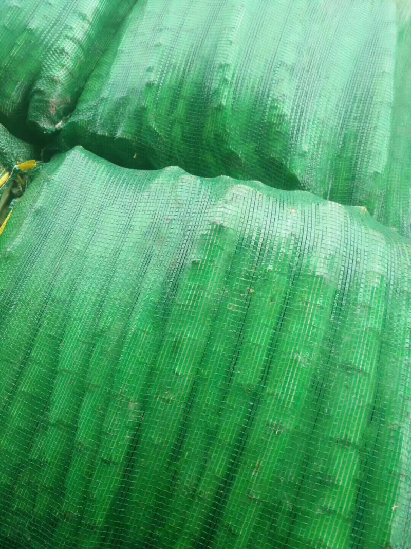 优质精品，莴苣肉大量上市，需要的请联系，确淡