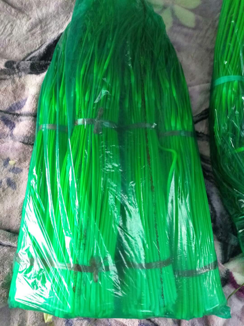 蒜苗大量上市，有万亩𥕛地，欢迎新老客户前来选购