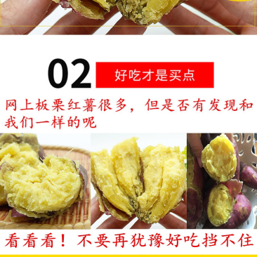 越南板栗红薯支持微商电商一件代发
