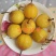 尖把梨100~150g光果