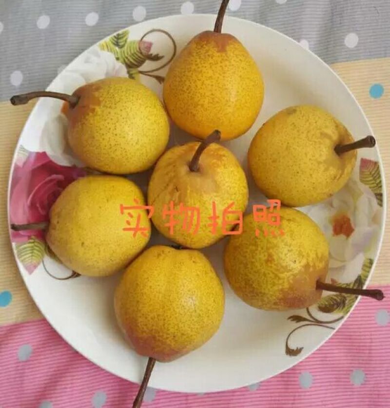 尖把梨100~150g光果