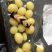 金西梅，网红桃，黄金梅，翡翠梅，樱桃梅，厂家直销