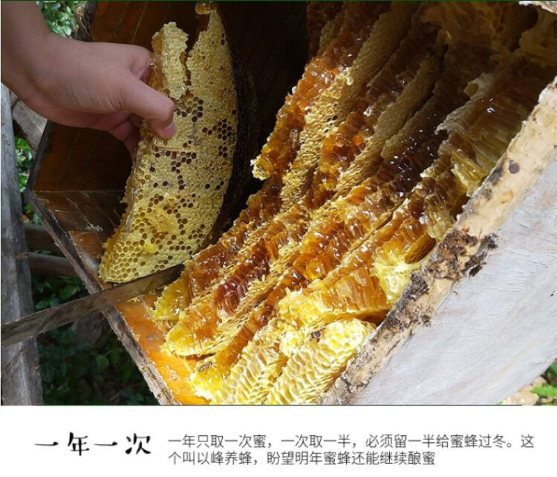 土蜂蜜