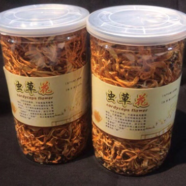 虫草花
