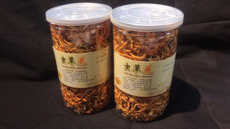 虫草花
