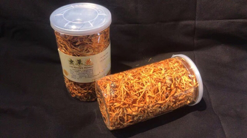 虫草花