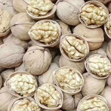 核桃