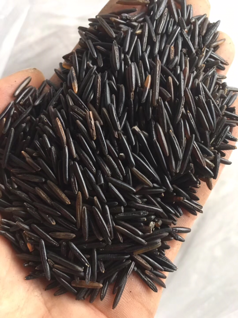 野米