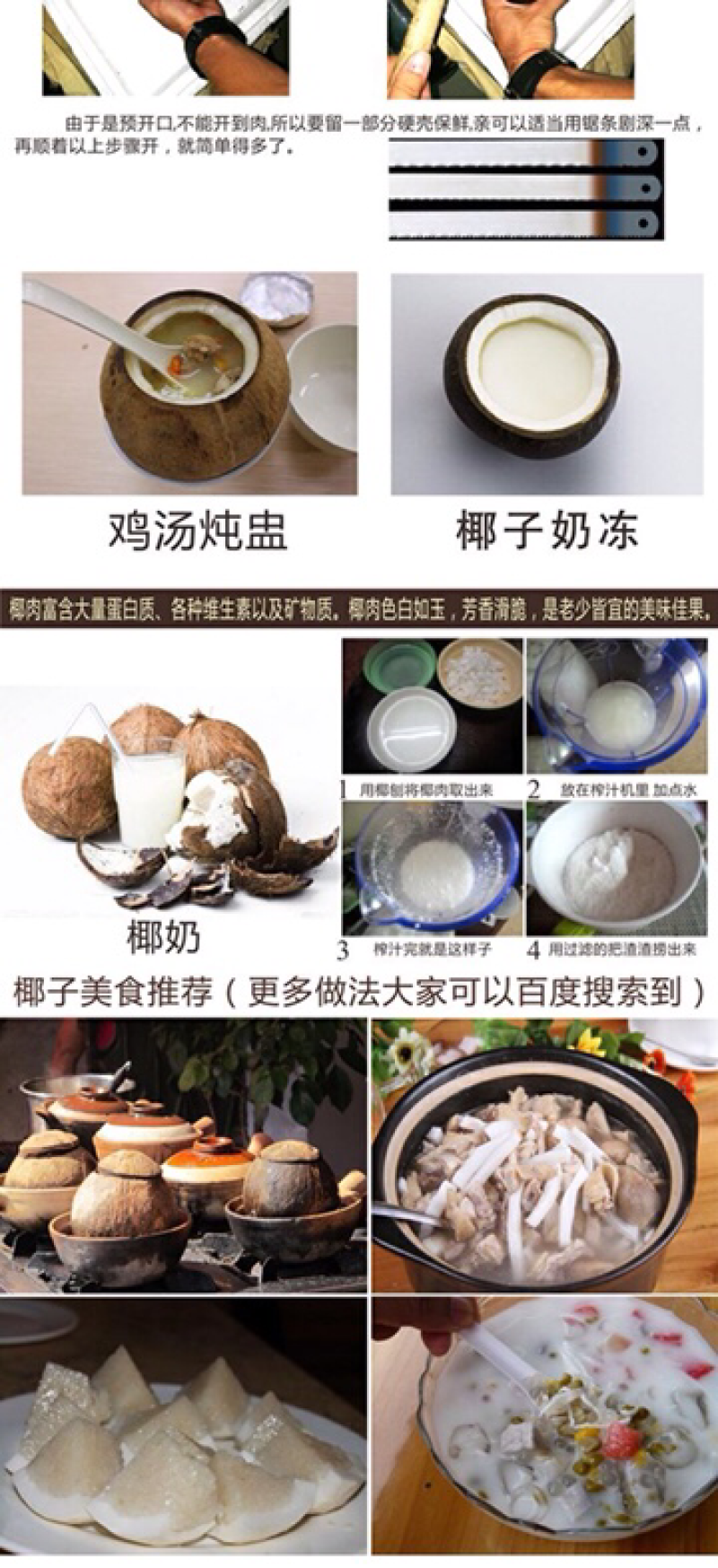 海南椰子椰子炖盅预开口椰子椰奶抛光椰子老椰越南椰子