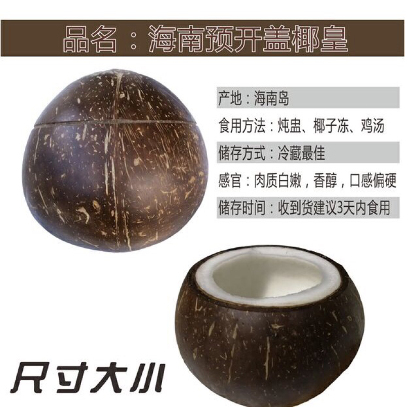 海南椰子椰子炖盅预开口椰子椰奶抛光椰子老椰越南椰子