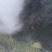 绿茶高山茶福建龙岩
