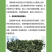 绿茶高山茶福建龙岩