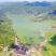 绿茶高山茶福建龙岩