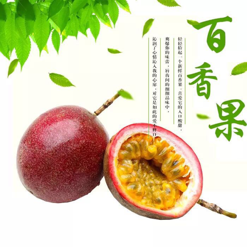 越南百香果大果支持微商电商一件代发