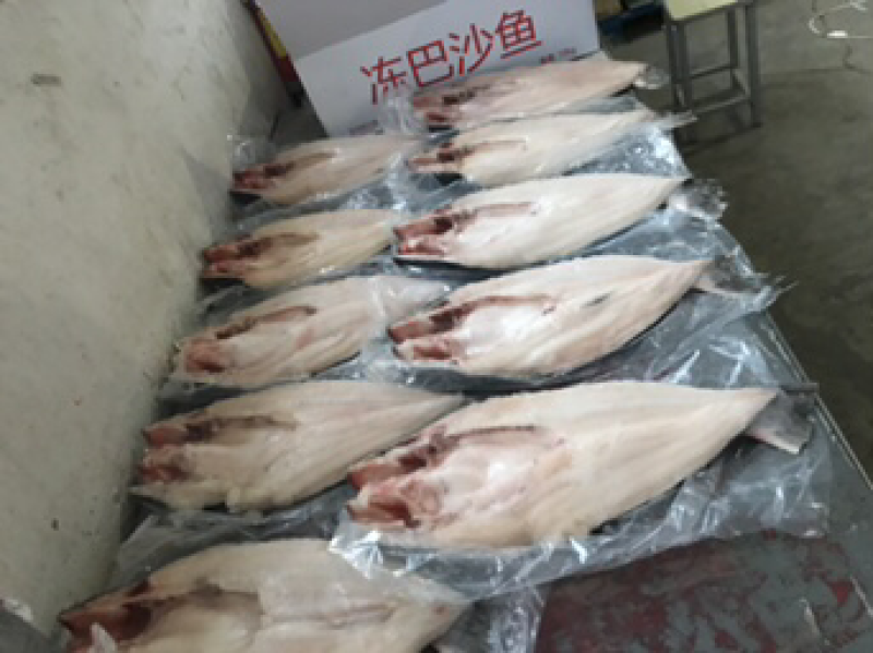 巴沙鱼