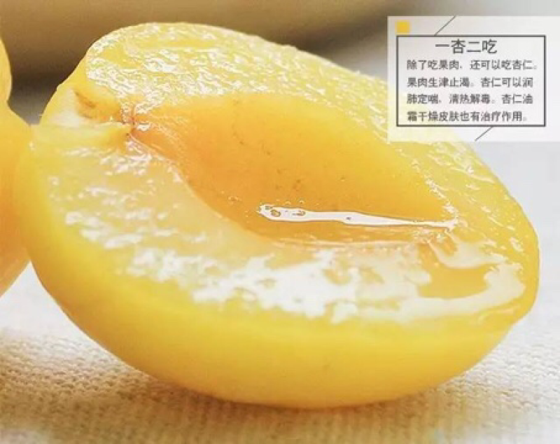 新疆库车小白杏果园直供现摘现发4斤装55元