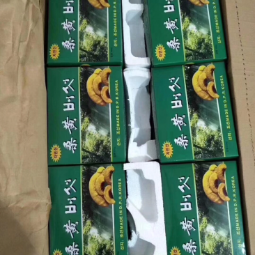 桑黄，一盒一斤装