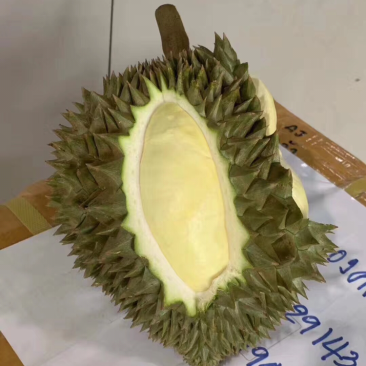 泰国金枕头榴莲新鲜带壳水果现摘特产包邮3-10斤
