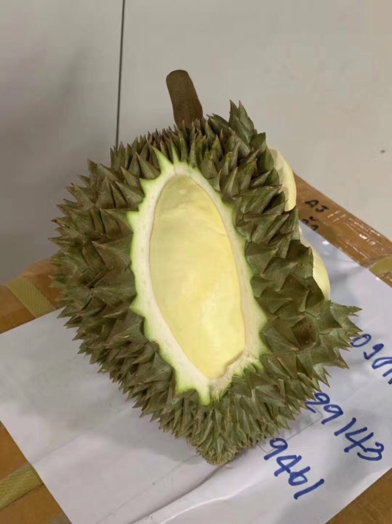 泰国金枕头榴莲新鲜带壳水果现摘特产包邮3-10斤