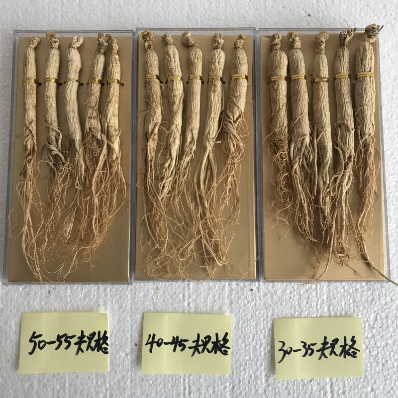 长白山人参礼盒。黑金精品白山礼盒。订做批发