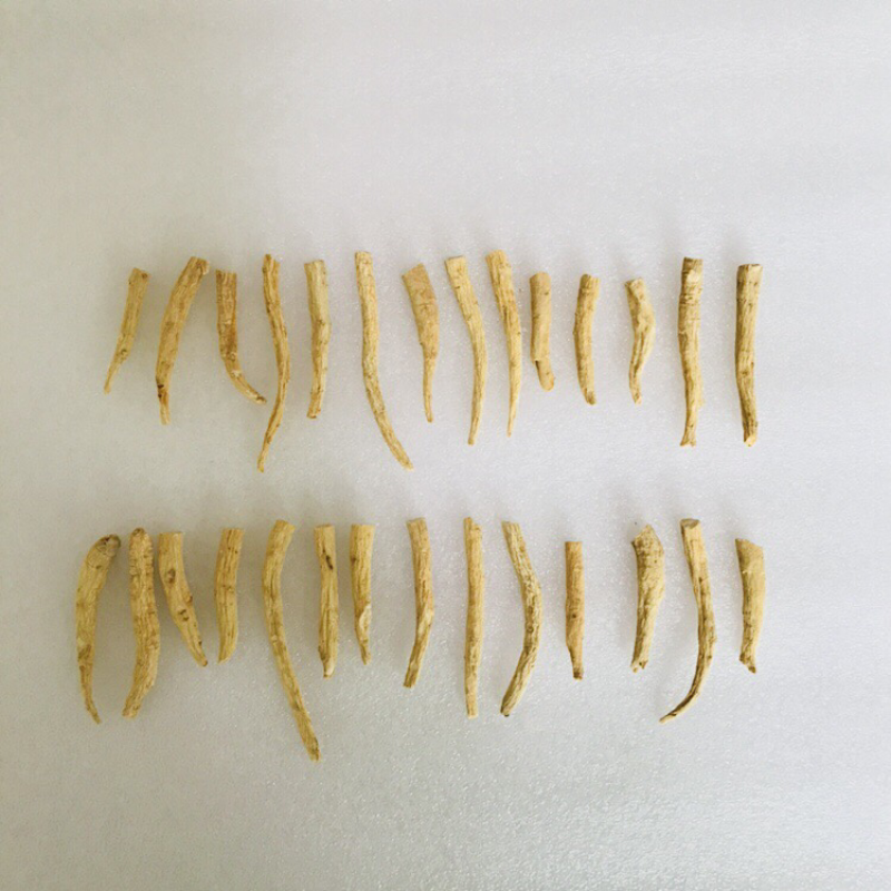 西洋参花旗参丁大根正宗特级可免费帮忙磨粉