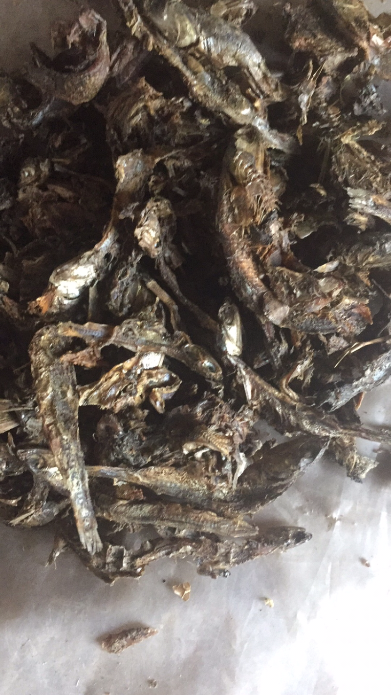 鱼干优质小鱼干杂鱼鱼粉厂家直销常年供货质优价廉