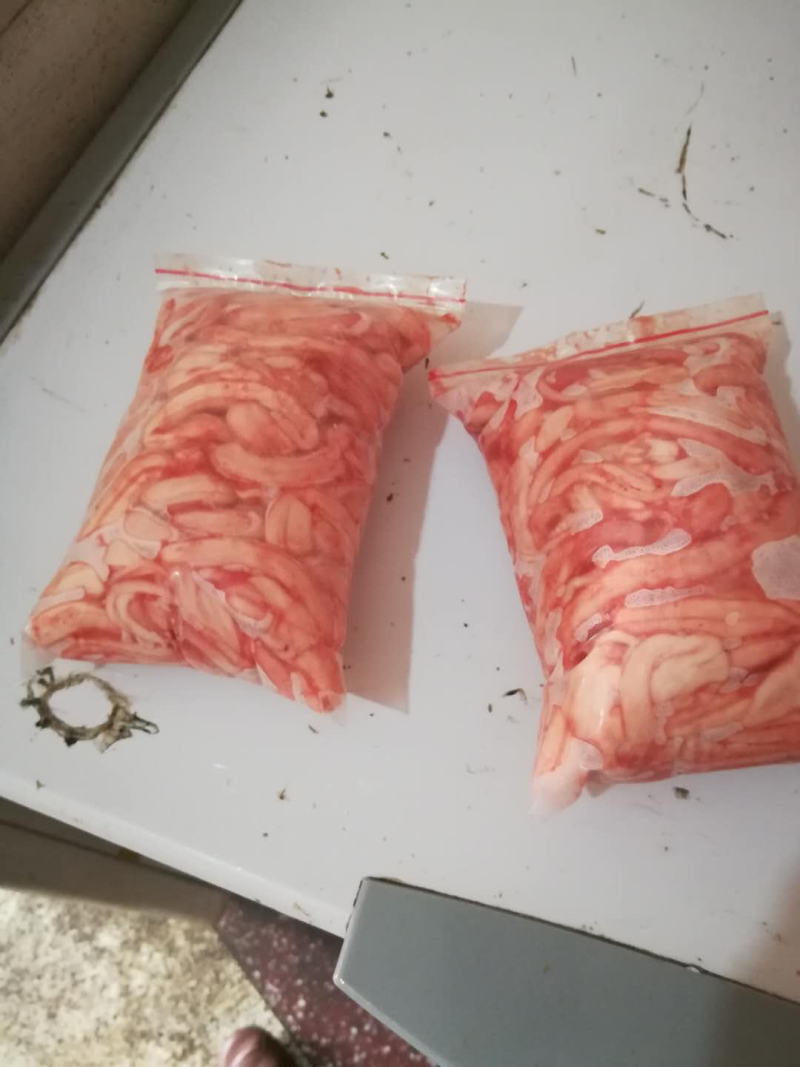 猪骨髓。冷冻猪骨髓