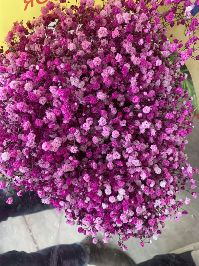 干花满天星永生花批发