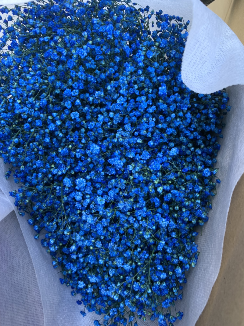 干花满天星永生花批发