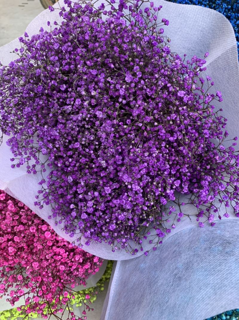 干花满天星永生花批发
