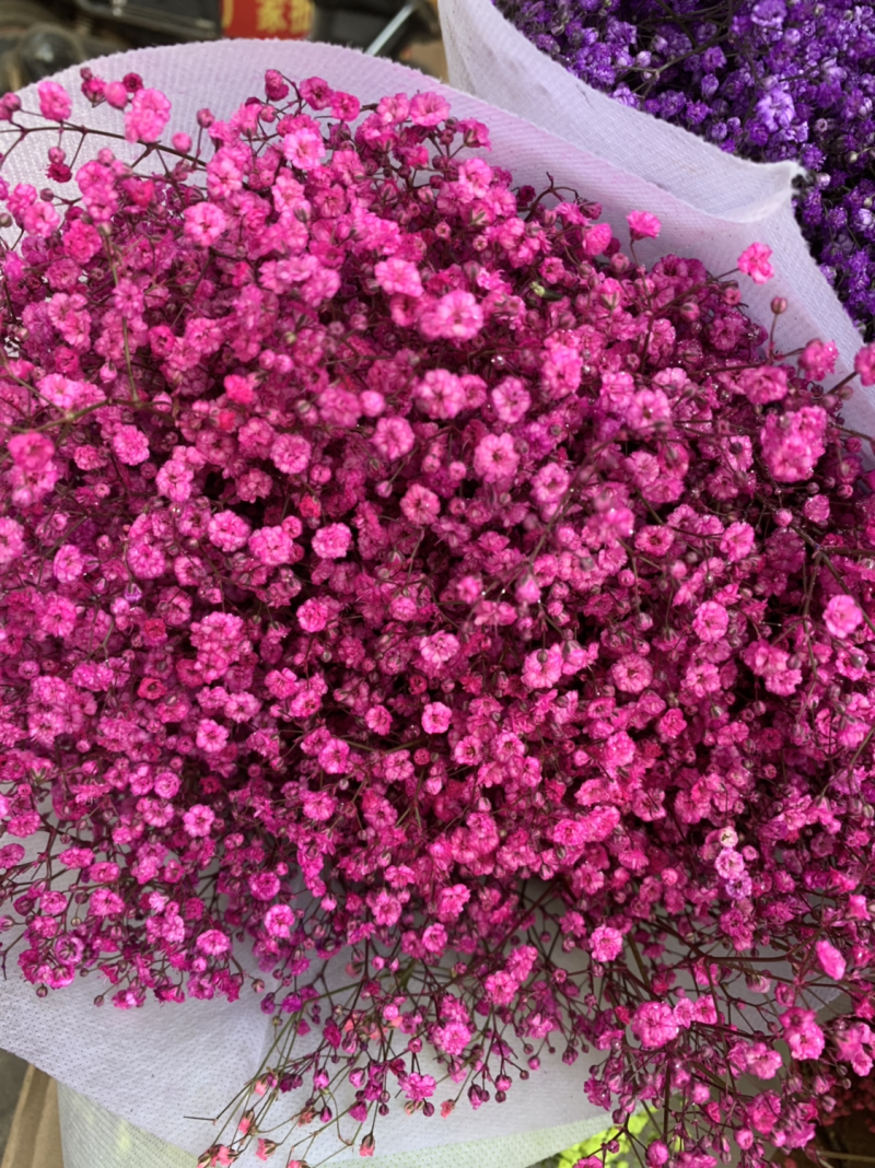 干花满天星永生花批发