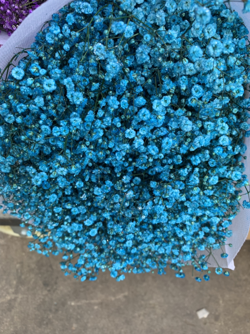 干花满天星永生花批发