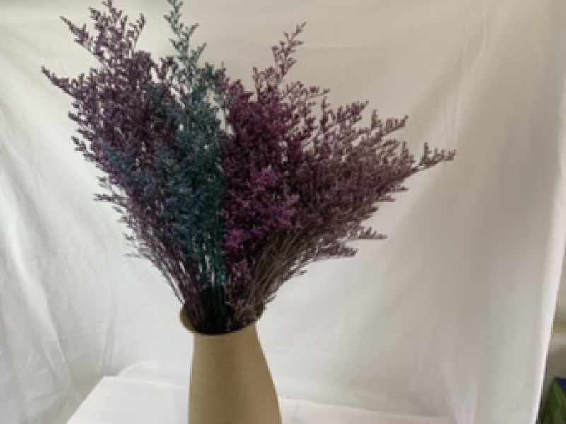 干花永生花情人草批发