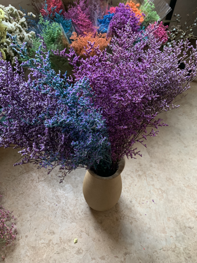干花永生花情人草批发