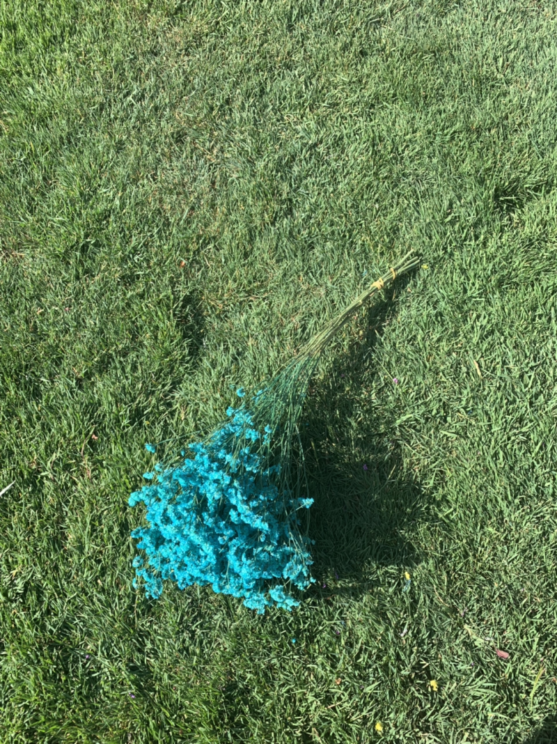 干花永生花水晶草批发