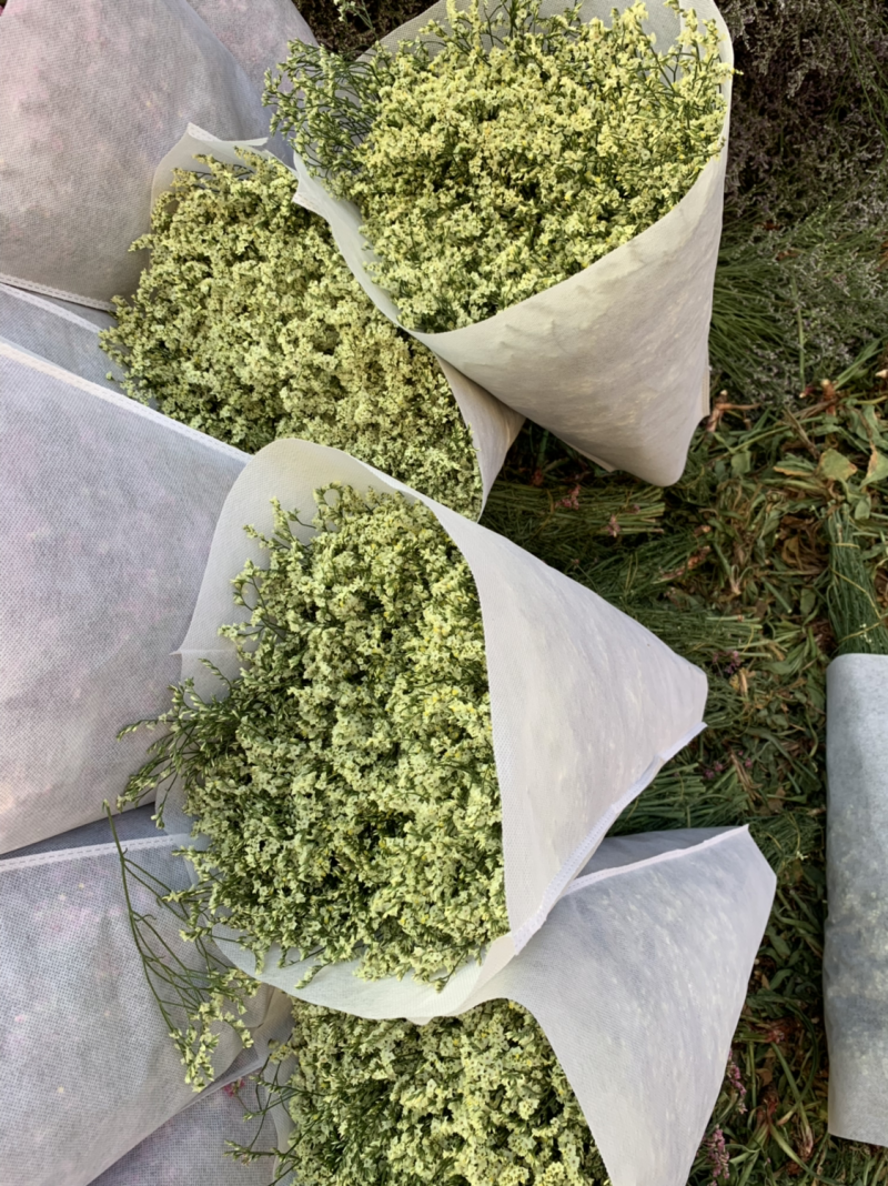 干花永生花水晶草批发