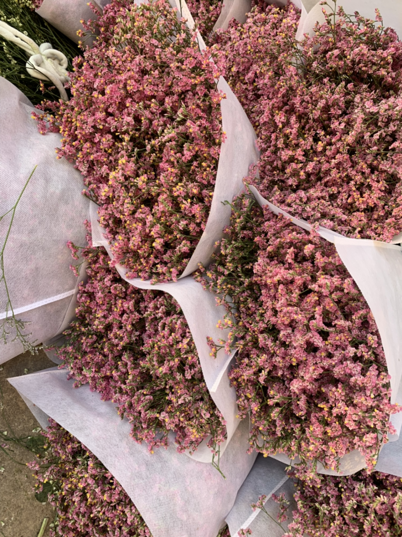 干花永生花水晶草批发