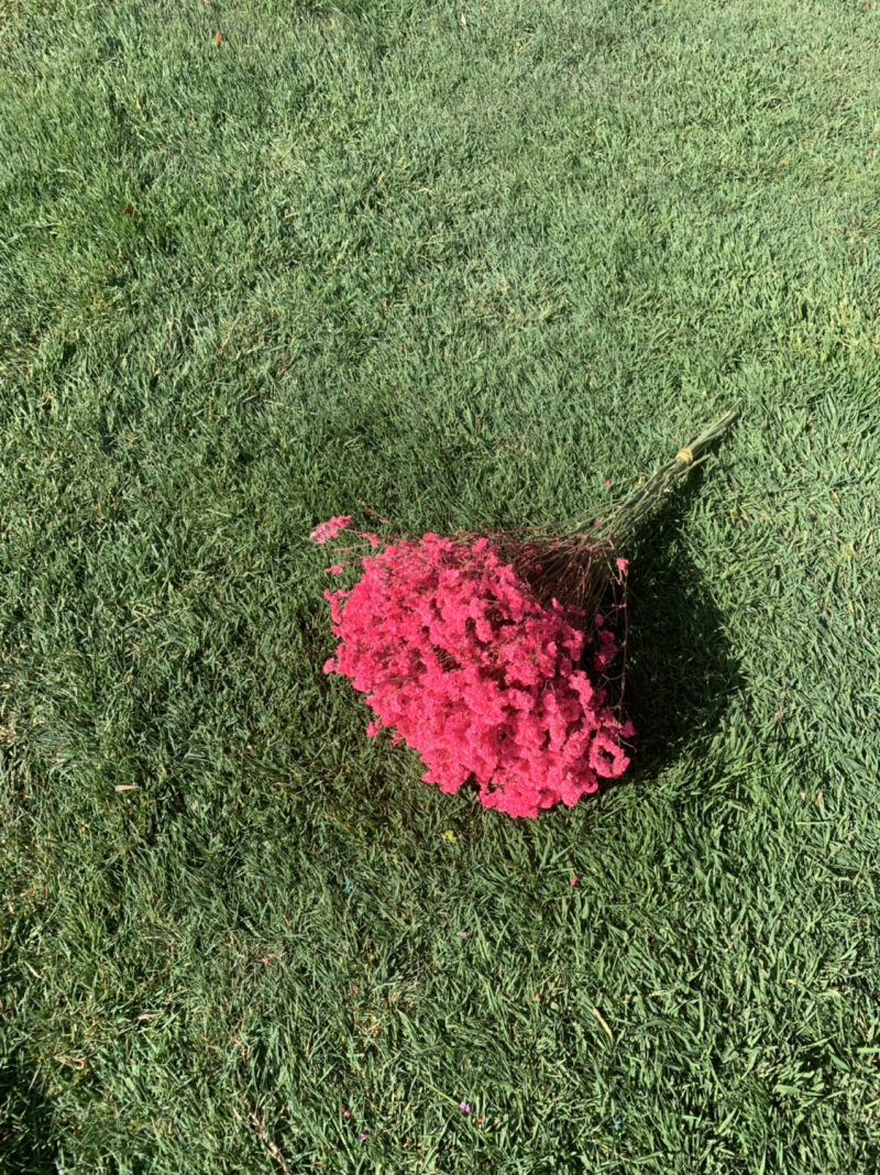 干花永生花水晶草批发