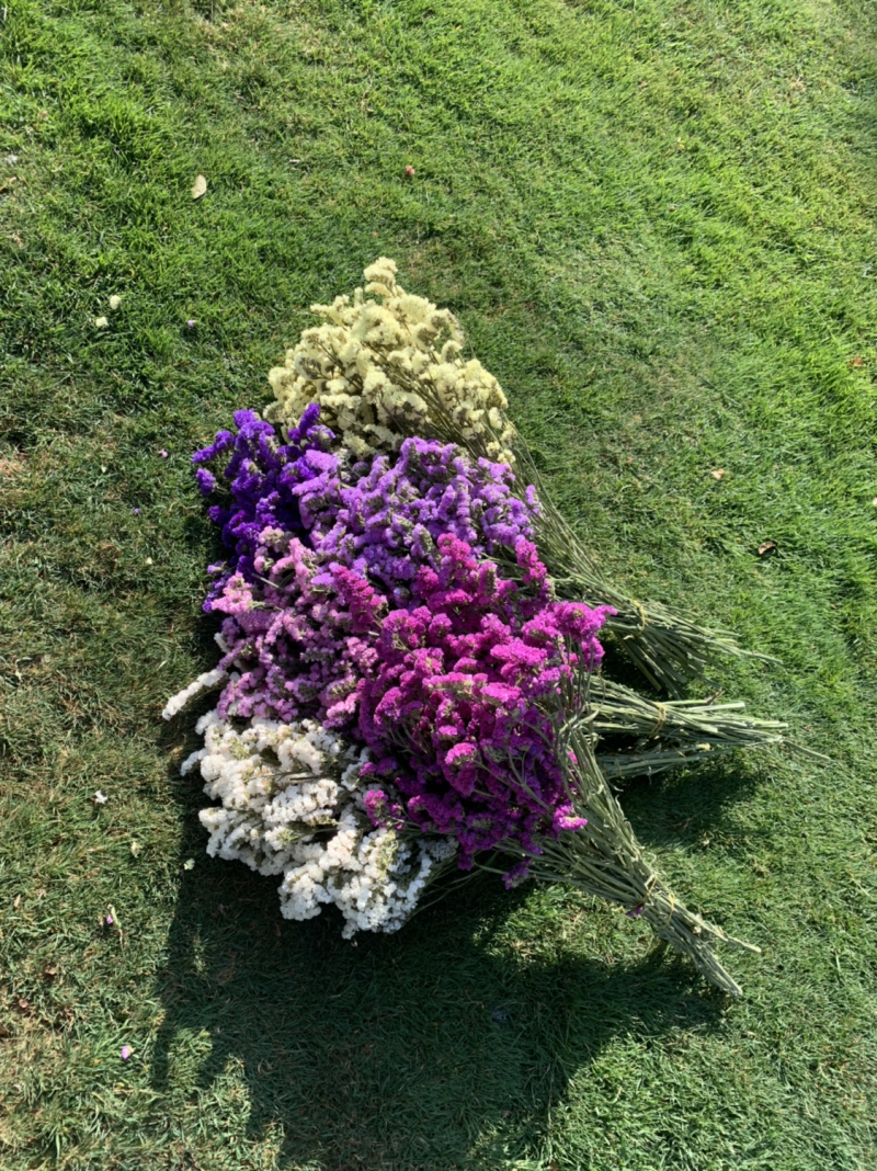 干花永生花勿忘我批发