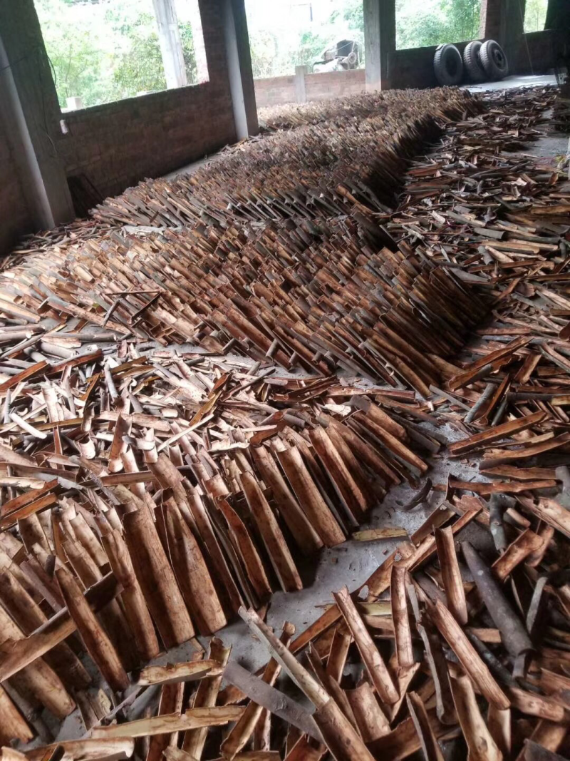 中国肉桂之乡罗定特产-可做药材及香料正宗本地肉桂