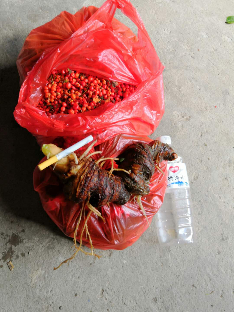 重楼种子，重台草，重台根，草河车