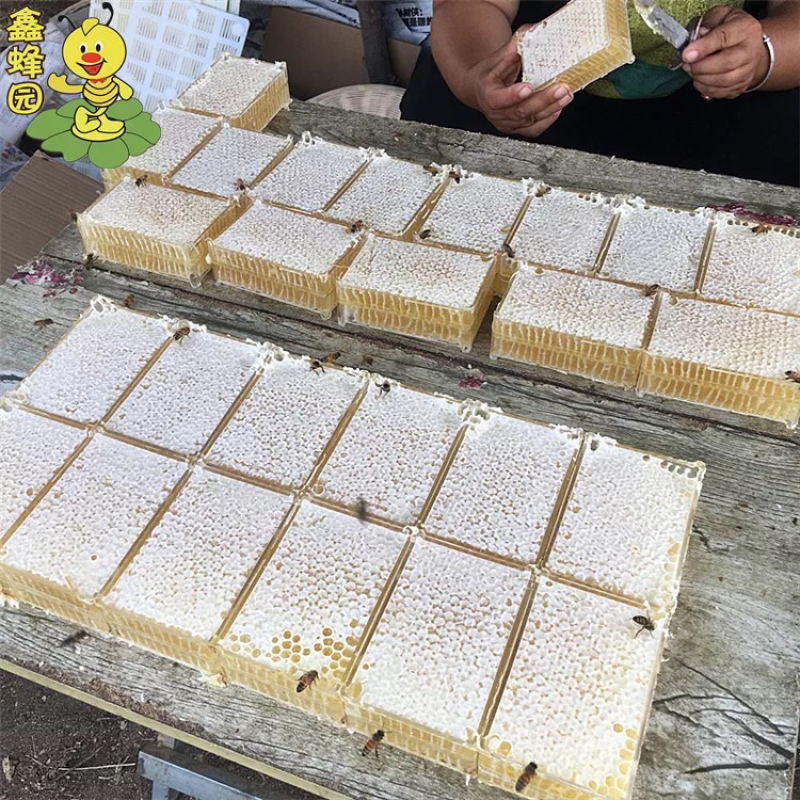 蜂巢蜜蜂蜜半斤装