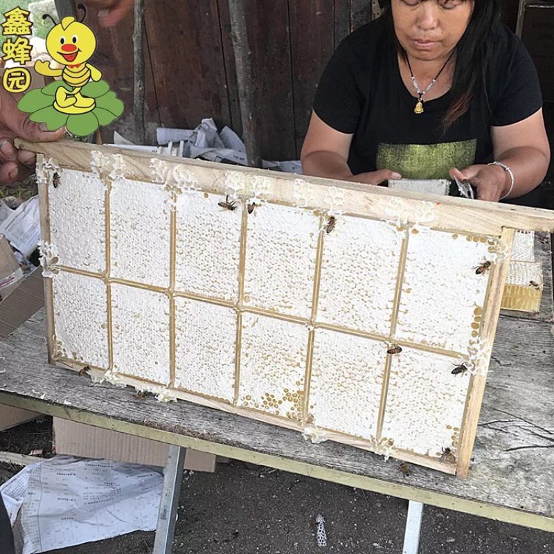 蜂巢蜜蜂蜜半斤装
